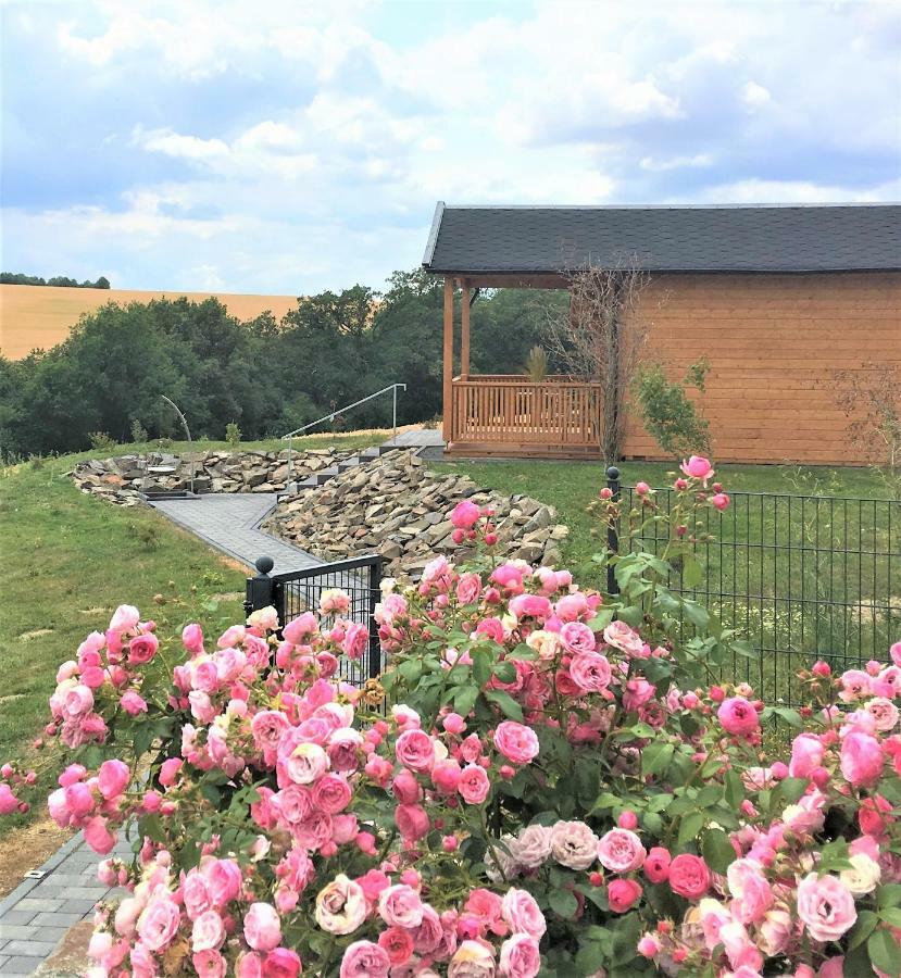 Wellness-Ferienhaus Eifel Feeling Apartman Gillenbeuren Kültér fotó